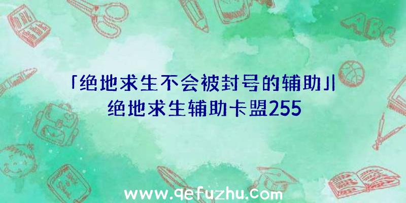 「绝地求生不会被封号的辅助」|绝地求生辅助卡盟255